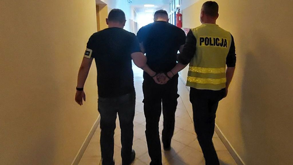 policja
