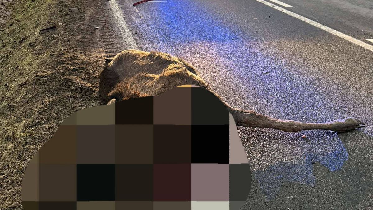 Wypadek w Murzynowie