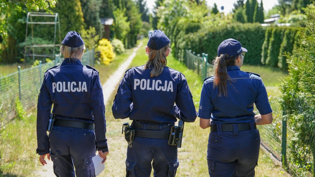 Patrole na działkach, działki, ogródki działkowe