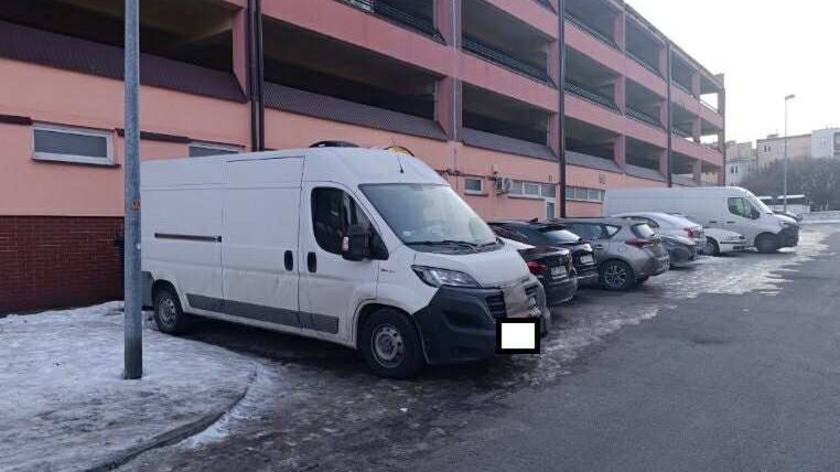 Pies zostawiony w aucie na mrozie