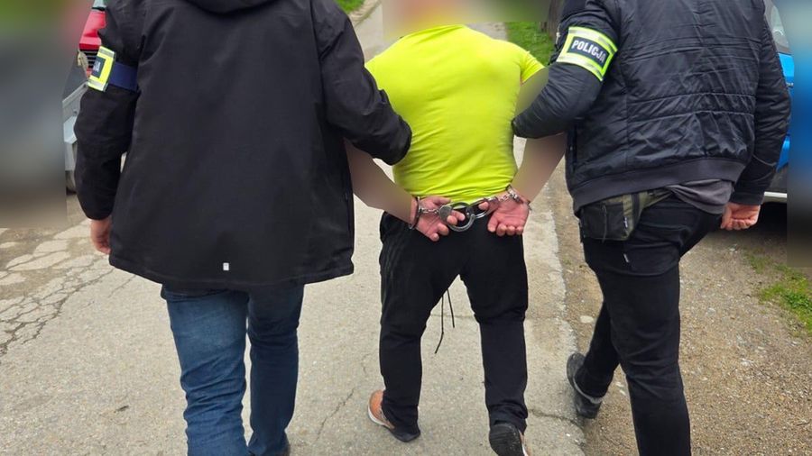 policja