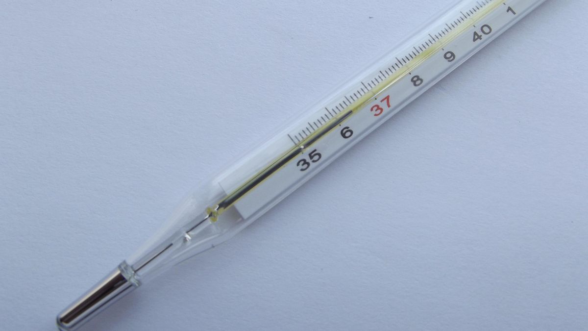 termometr, temperatura