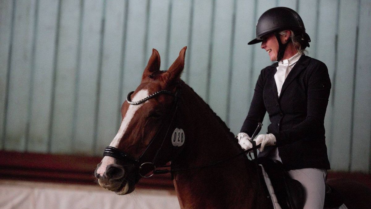 Stado Ogierów w Łącku