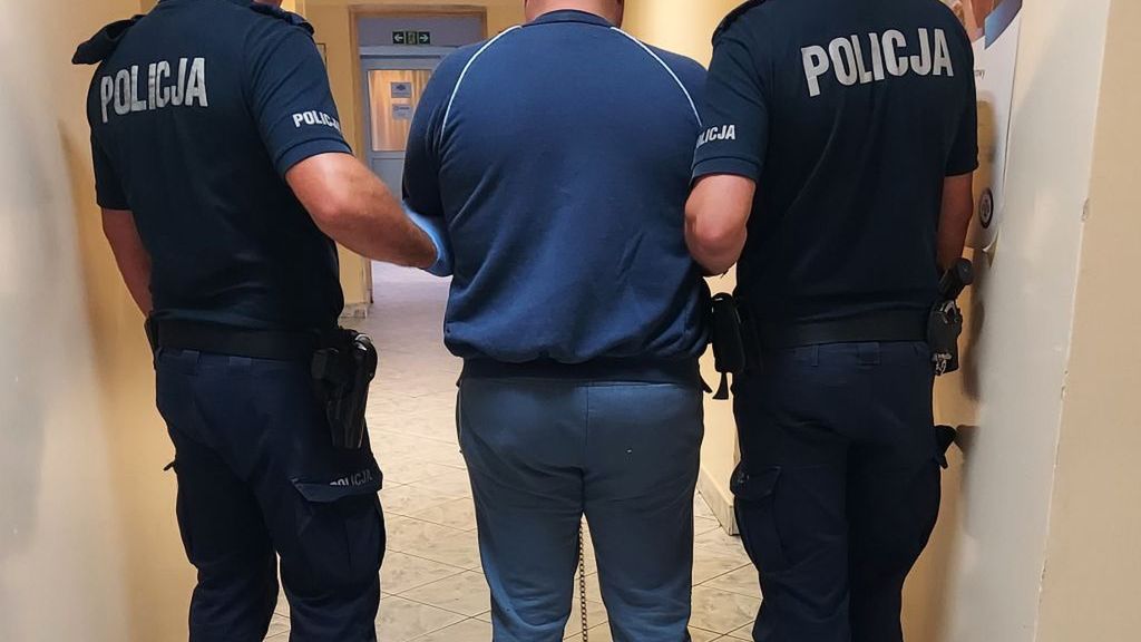policja