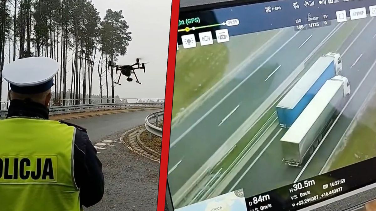 Wyścigi słoni na S10 koło Wałcza.