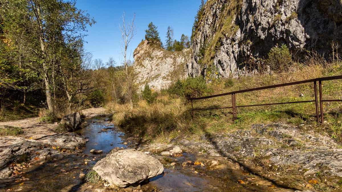 Wąwóz Homole, Jaworki