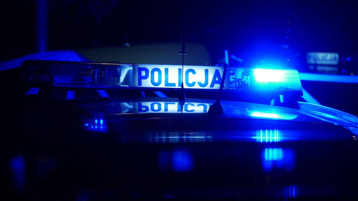 policja
