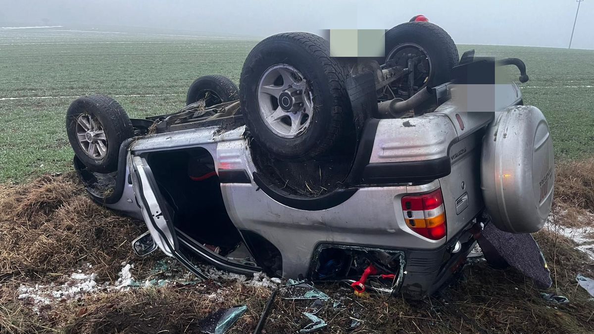 Dachowanie Franciszkowo-Radawnica.