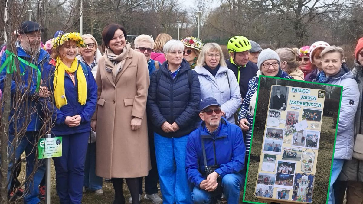 Drzewo Pamięci w Parku na Wyspie