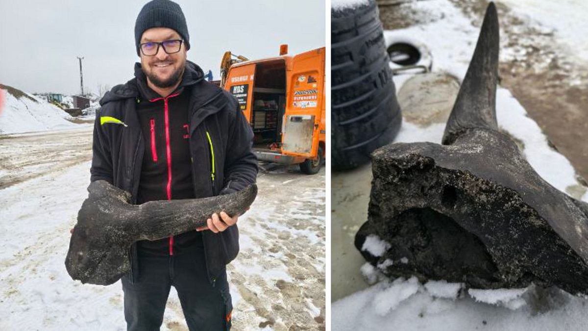 Niezwykłe znalezisko 