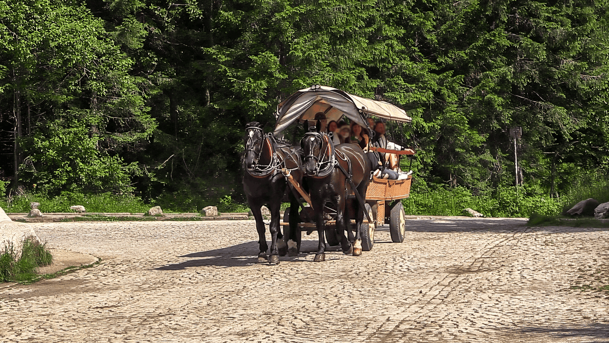 koniki, morskie oko, palenica białczańska, tatry, góry