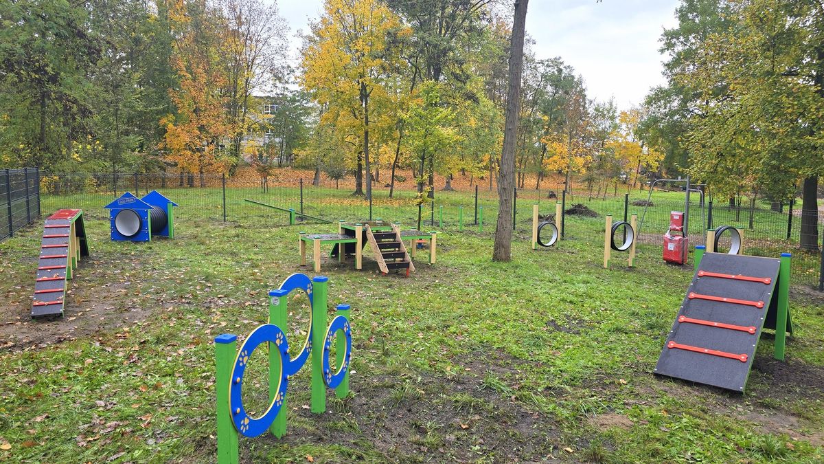 Plac zabaw dla psów.