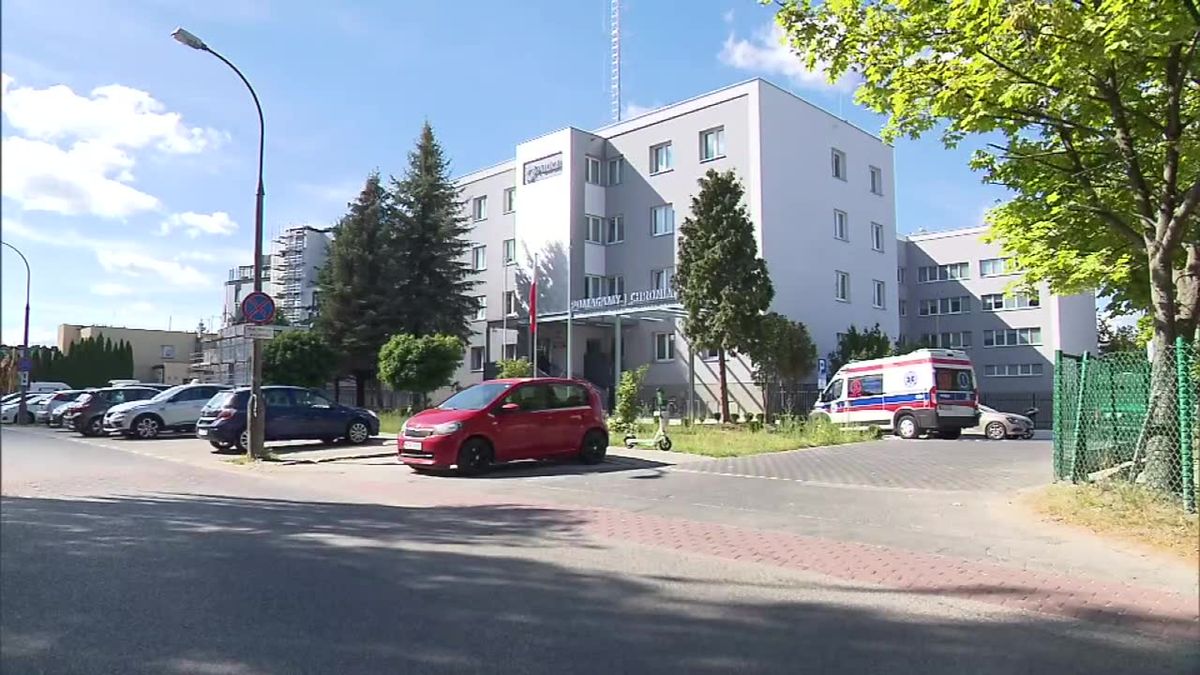 zdjęcie