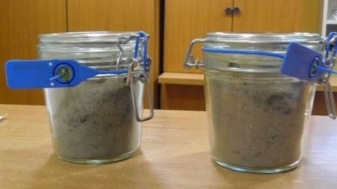 Straż Miejska w Płocku