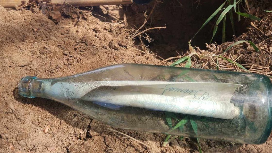 Nadleśnictwo Płock