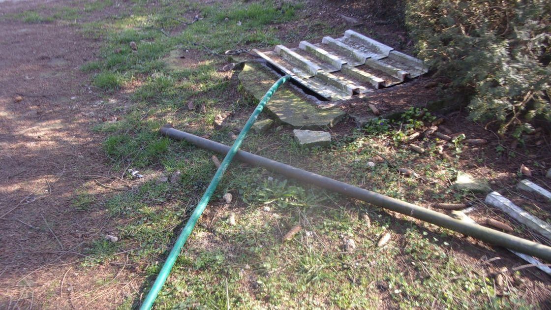 Straż Miejska w Płocku