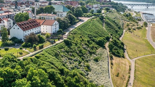 Rada Miasta Płocka ustanowiła dwóch patronów 2024 roku