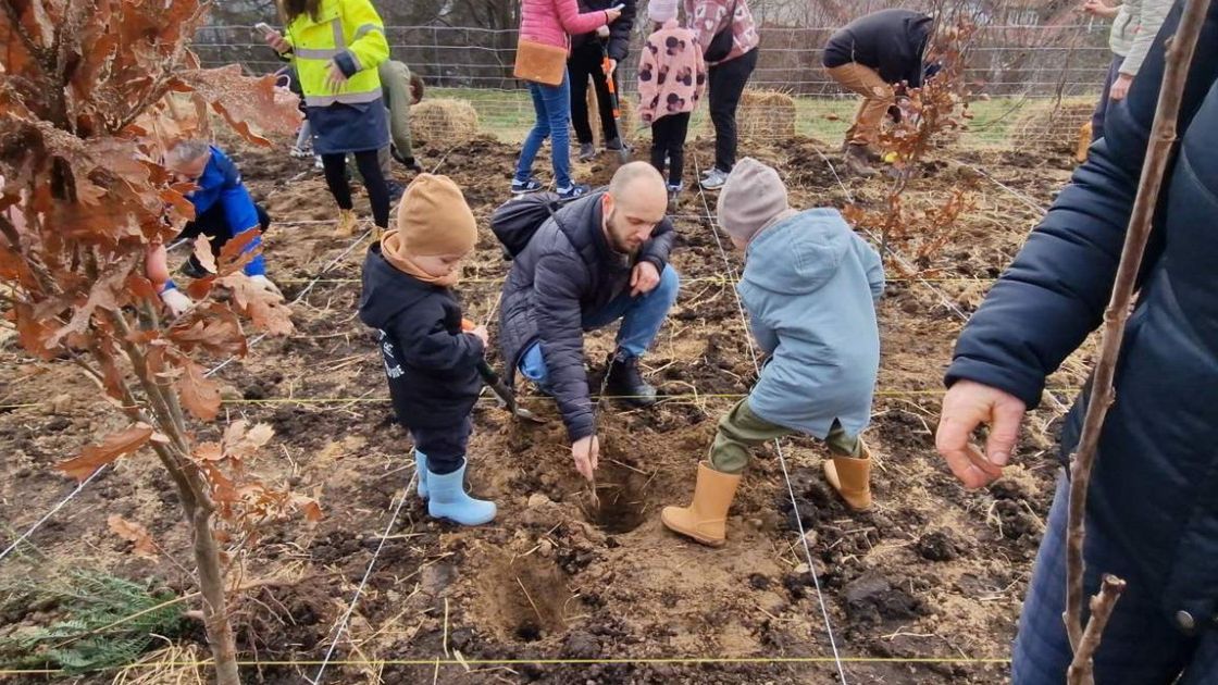 Forest Maker Sp.z o. o. (1)