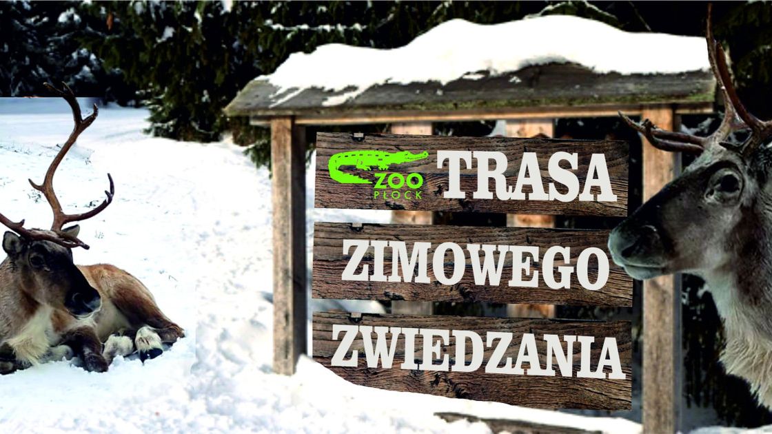 ZOO PłockFb