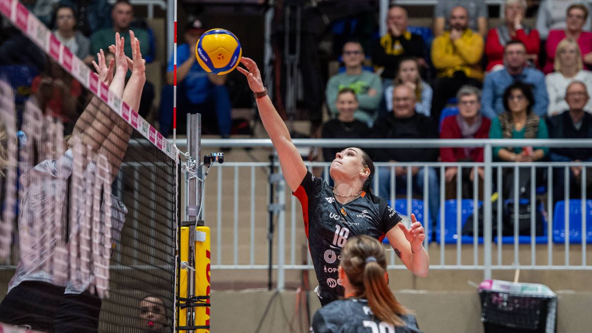 Zdjęcie okładkowe artykułu: 