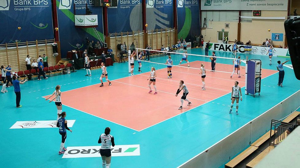 Zdjęcie okładkowe artykułu: 