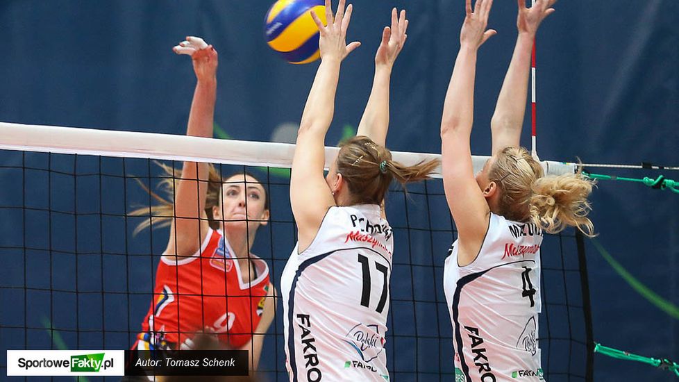 Zdjęcie okładkowe artykułu: 