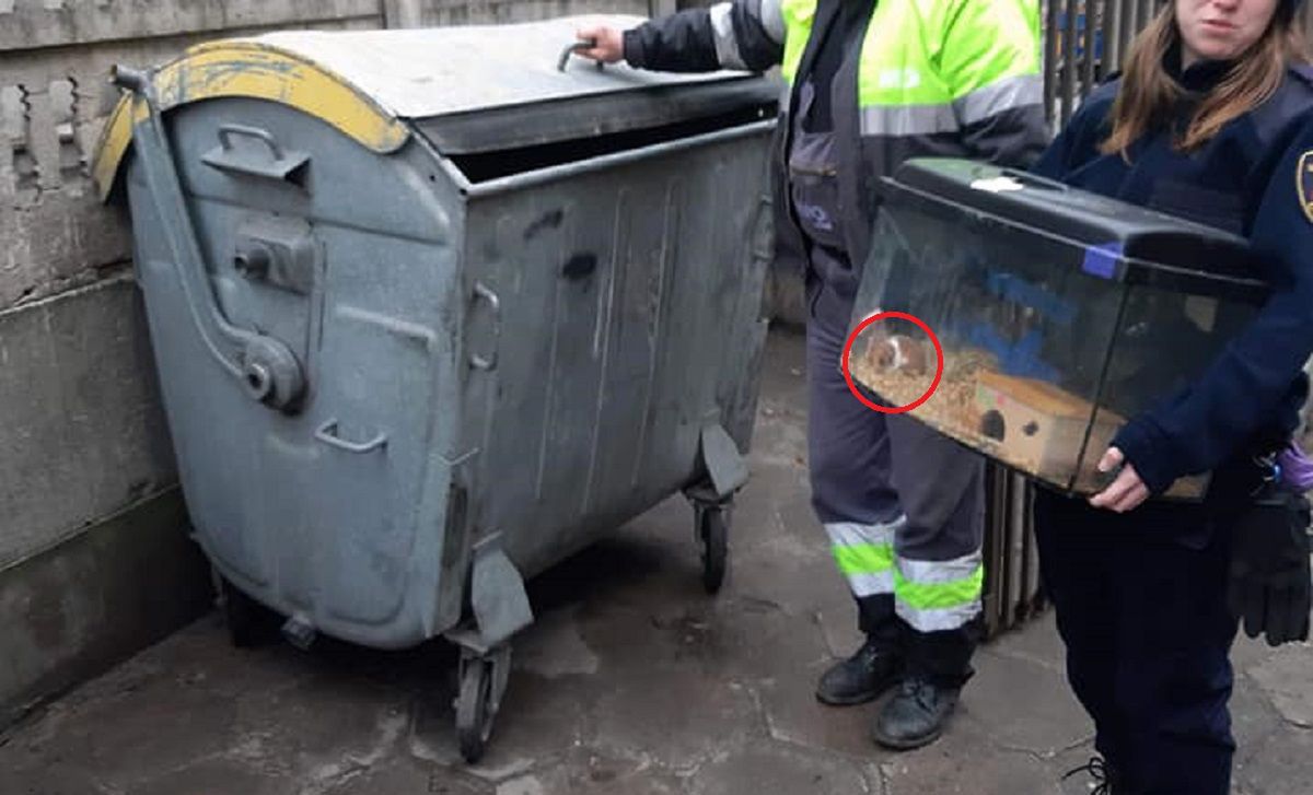 Lodz Straszne Odkrycie W Smietniku O2 Serce Internetu