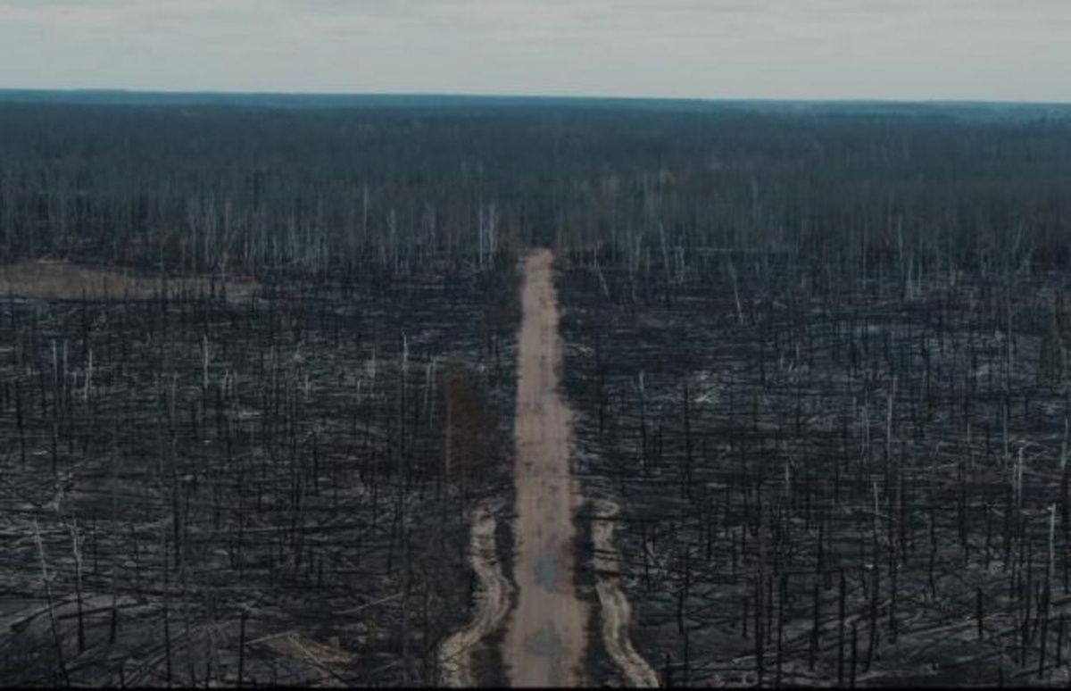 Apokaliptyczne sceny z Czarnobyla. Pokazali zdjęcia po pożarze w Zamkniętej Strefie