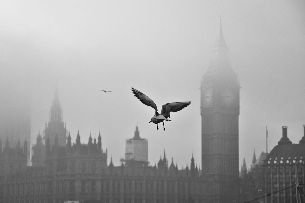 Legacy of the 1952 Great Smog: London's deadly fog that changed ...