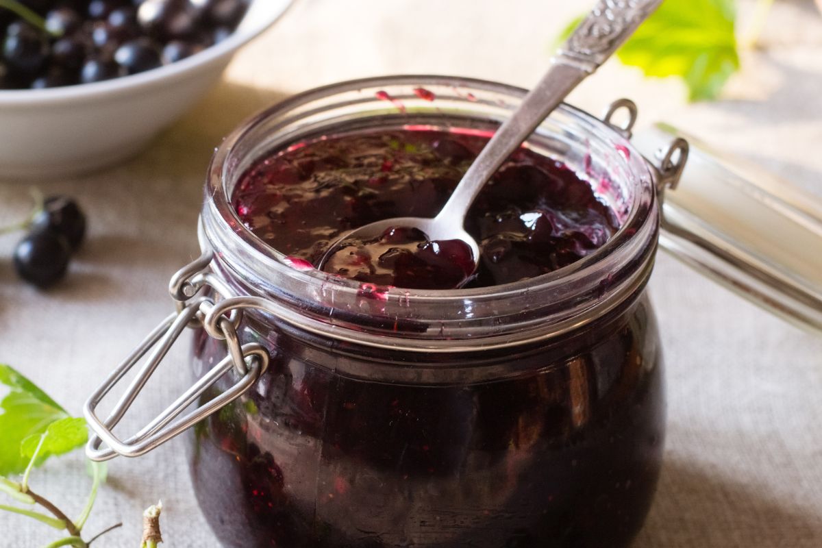 Unlocking the power of black currants A surprising fruit for weight