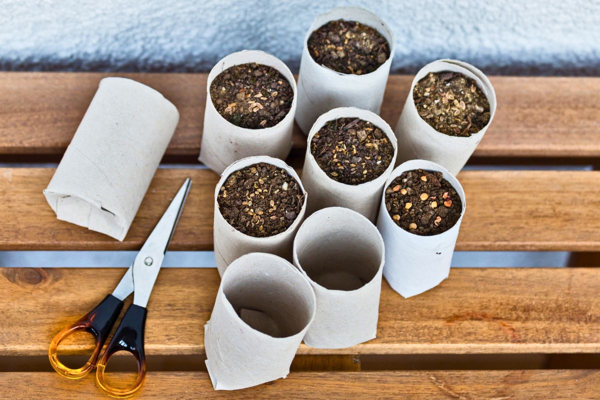 Reusing Toilet Paper Rolls – The Green Dandelion