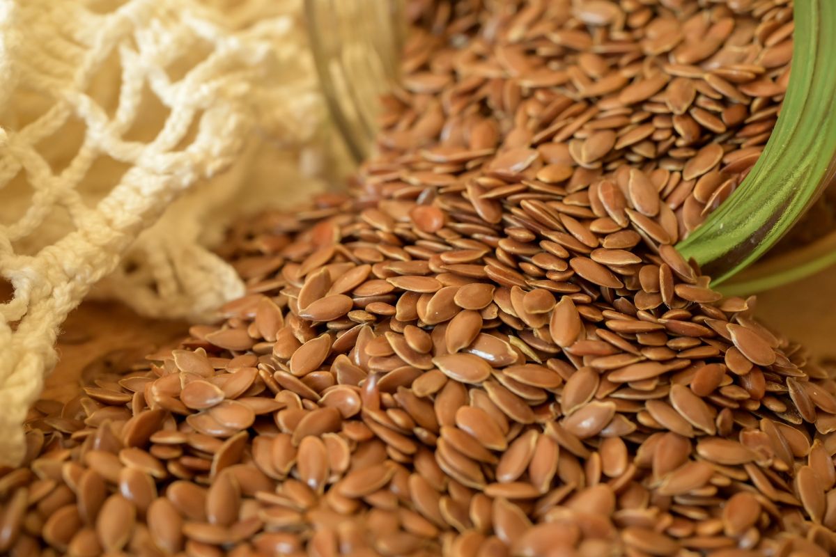 Flaxseed Health benefits and hidden risks you need to know