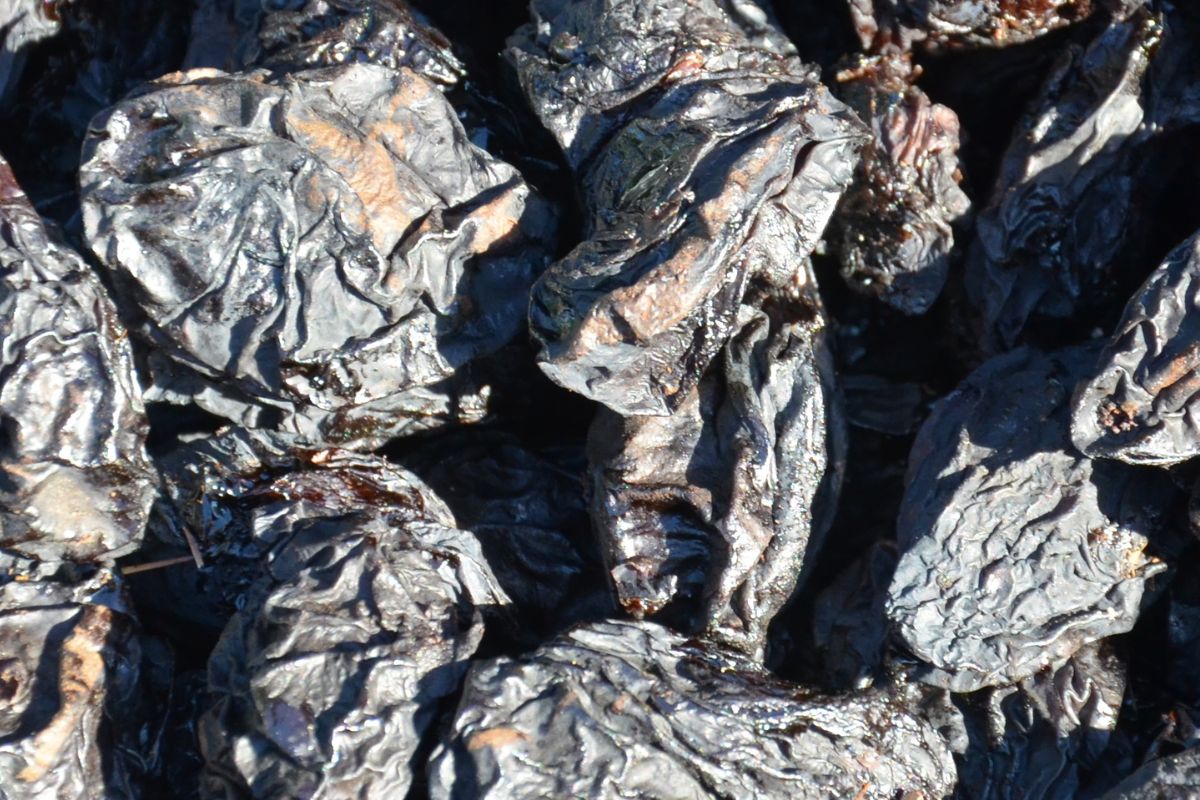 Discover dried plums The tiny nutrient powerhouses enhancing gut