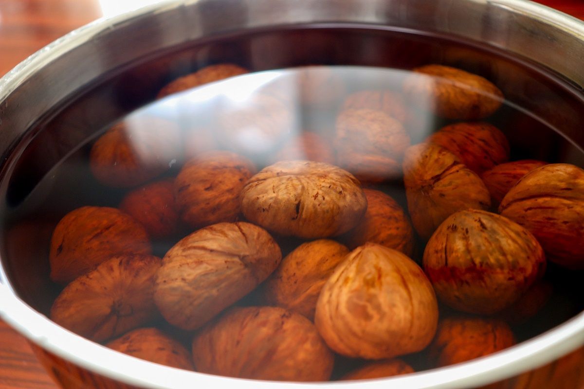 Are soaked walnuts worth the hype? Experts weigh in(03)