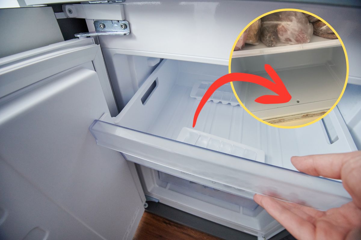 Unassuming freezer feature could save you money and electricity don't