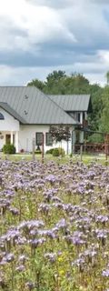 Brzozowy Dworek Winnica Lipowiec