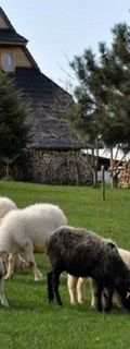 Dom góralski pod owieczkami - Ząb