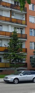 Kuckó Apartman Veszprém