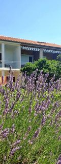 Apartments BRINE-close to the entrance to Paklenica NP Starigrad Paklenica