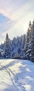 Leśny domek Obidowa
