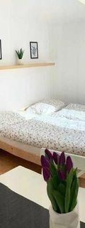 Apartmán na úpatí Jizerských hor Liberec