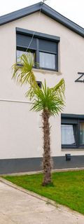 Zebra Apartman Mezőkövesd