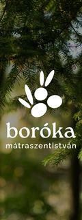 Boróka Vendégház Mátraszentistván