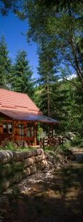 Casa de vacanță Pura Vida - Forest Home Poiana Horea