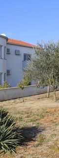 Apartments Marin Biograd