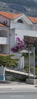 Apartmanok Parkolóhellyel Makarska - 6693