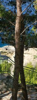 Apartmanok A Tenger Mellett Brela, Makarska - 2713 Brela