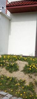 Agroturystyka