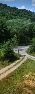 TARNICA