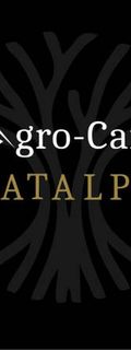 AgroCamp Catalpa